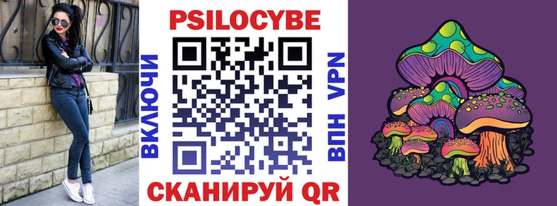 Псилоцибиновые грибы Cubensis  закладки  Лебедянь 